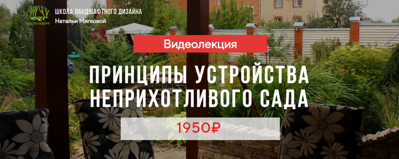 [Наталья Мягкова] Принципы устройства неприхотливо_0.png